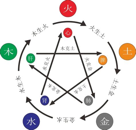 火 金 五行|五行